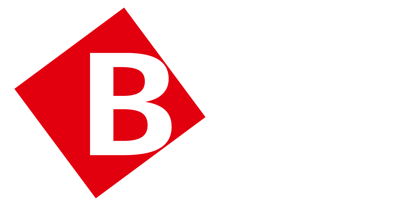 Webseite-Logo-BSN.png